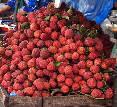 Trinidad And Tobago Fruits