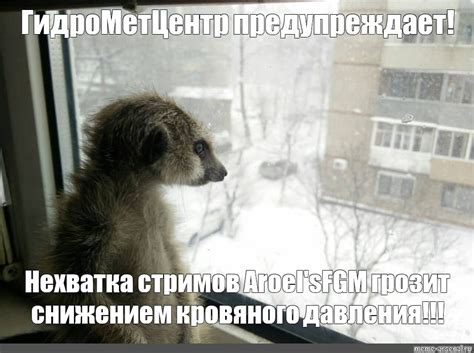 Мем: "ГидроМетЦентр предупреждает!" - Все шаблоны - Meme-arsenal.com