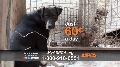 Aspca Commercial 2024 - Gabi Pammie