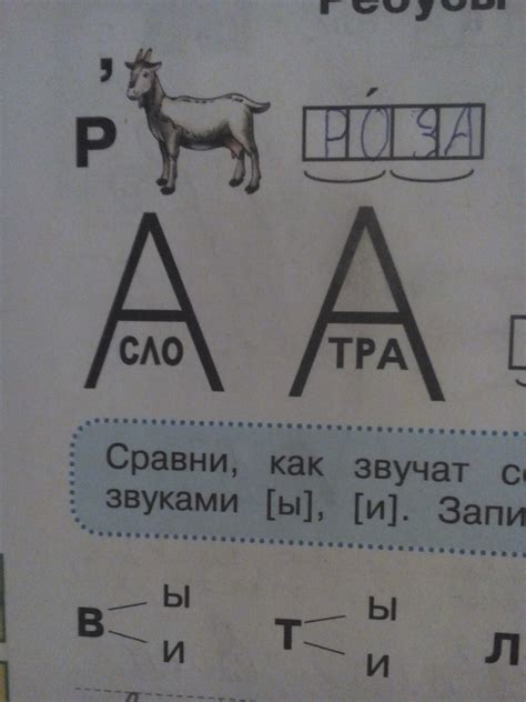 Решебник Ребусов По Фото Онлайн Бесплатно — Fotoxcom.ru