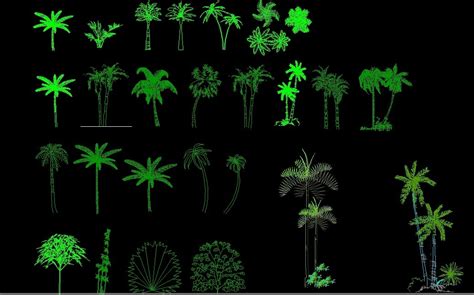 Various Coconut Palm Trees Plants Front View Elevation And Plan 2D DWG