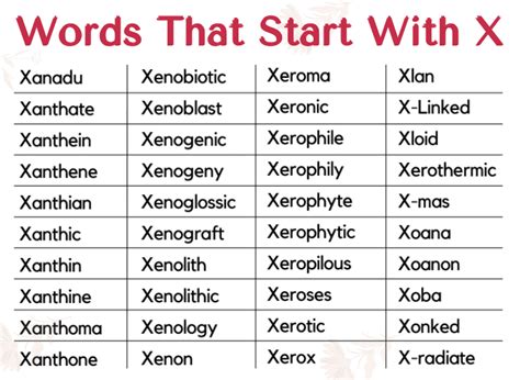 Words That Start With X Ends With X And Where X In Middle