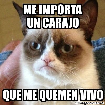 Meme Grumpy Cat ME IMPORTA UN CARAJO QUE ME QUEMEN VIVO 2829592