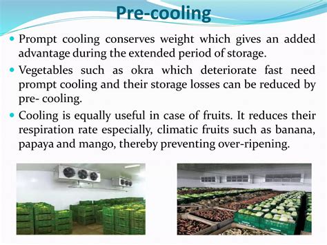 Management Of Post Harvest Losses In Fruits And Vegetables Ppt