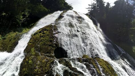 Diamond Creek Falls Willamette National Forest Oregon