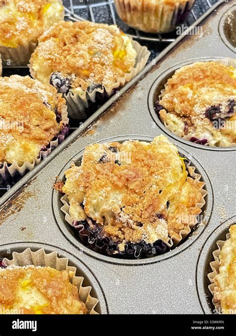 Freshly Baked Blueberry Muffins In The Muffin Tin And On A Cooling Rack