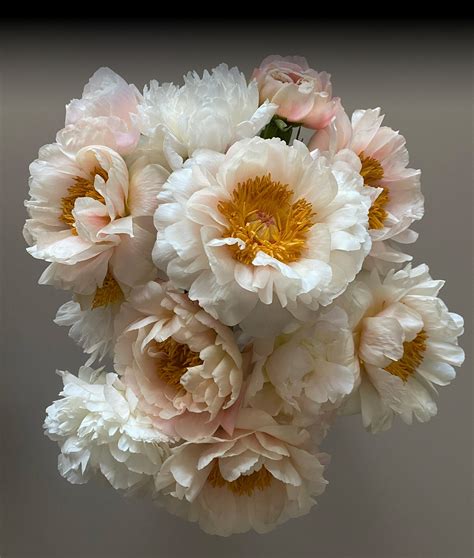 О компании Flover