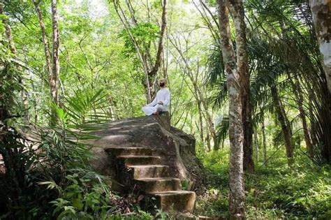 10 BEST Meditation Retreats in Sri Lanka (2025)