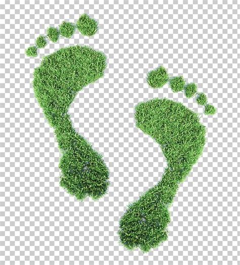 Ecological Footprint Ecology Carbon Footprint Concept Illustration Png