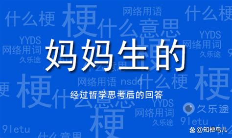 妈妈生的是什么意思什么梗 价值 来自 来源