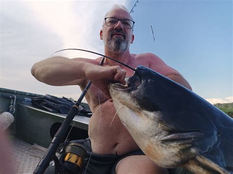 Welsfischen Am Ebro Im August Extreme Ebrofishing