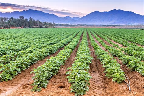 israeli  tech agri solutions india israel trade economic