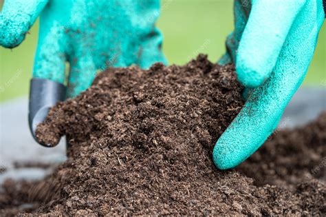 Premium Photo Hand Holding Peat Moss Organic Matter Improve Soil For