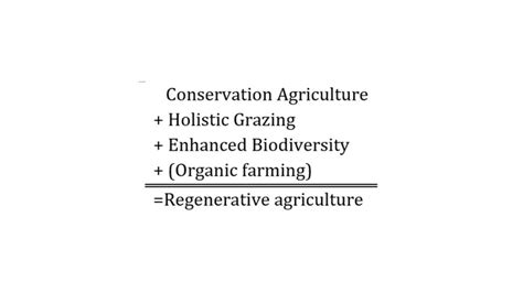 Descubriendo La Agricultura Regenerativa I CrowdFarming Blog