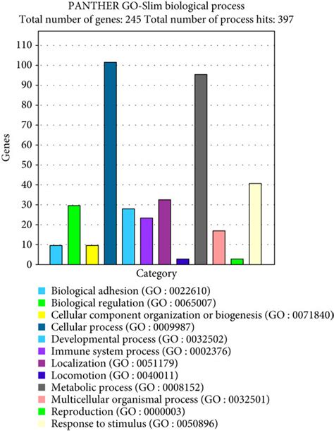 Gene Ontology Analysis Of The Main Biological Processes And Molecular Download Scientific