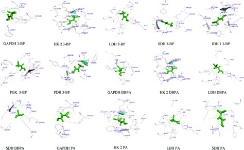 Visualization Of Docked Complexes Figure Shows 3 D Models Of Docked