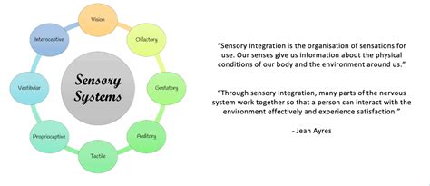 Sensory Thresholds — Sensory Health Matters | Paediatric Occupational ...