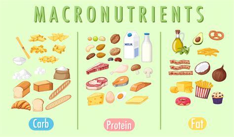 Calories Per Gram Calculator Fitness Volt