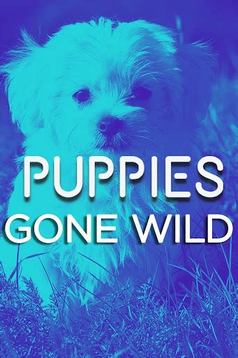 Puppies Gone Wild Google Play