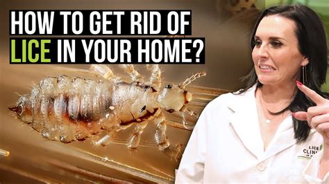 How To Get Rid Of Lice In Your Home 6 Tips For Removing Head Lice Youtube