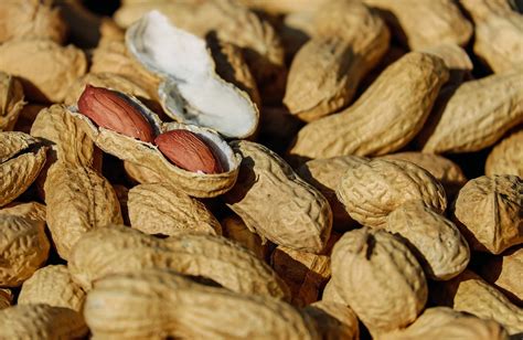 Benef Cios Do Amendoim Nutritotal Para Todos