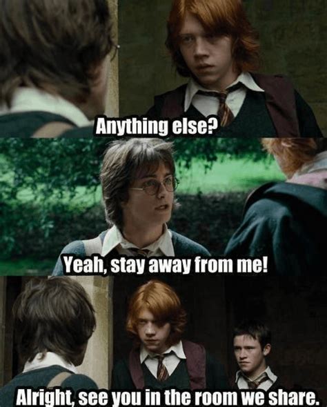 Hilarious Harry Potter Memes That Prove The Series Makes No Sense