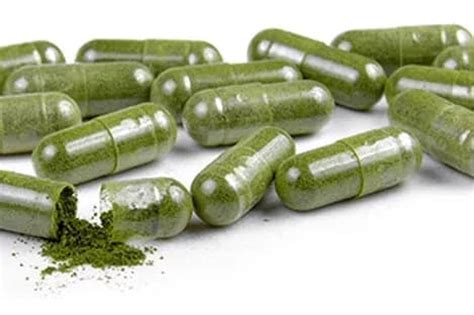 Moringa Leaf Capsulese 30 Day Supply Eden Wellness Moringa Llc