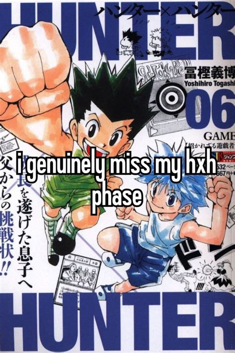 The Fun Times When Life Was Actually Fun Most Of Anyways Lol In 2024 Hunter X Hunter Hunter