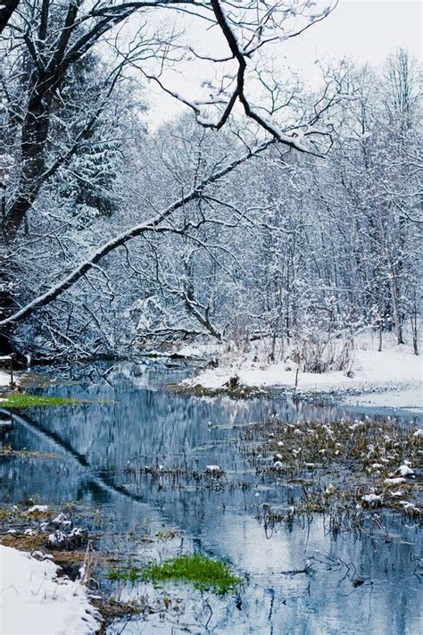 Ponte De Pedra Velha Bonita Da Floresta Do Inverno Na Neve Em Dias