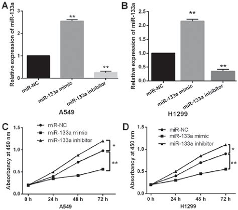 Overexpression Of MiR 133a Inhibits Cell Proliferation In NSCLC A And