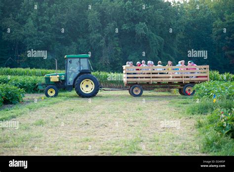 Farmer Driving A Tractor With Wagon Full Of Tour Group Of People On A