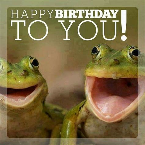 Frog Birthday Meme