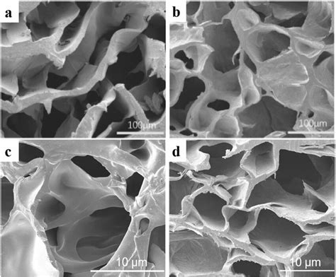 SEM Image Of SA Hydrogel A SEM Image Of PVA SA Hydrogel B SEM