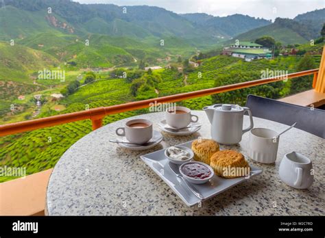 Malaysia, Pahang, Cameron Highlands, Tanah Rata, Cameron Valley Tea ...