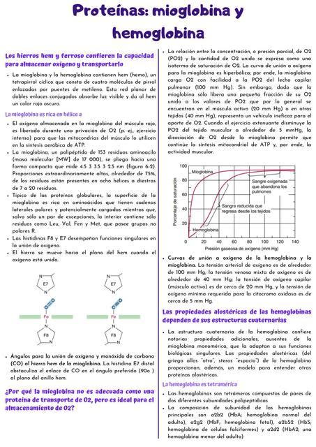 Proteínas Mioglobina y Hemoglobina Giussepe Mejia uDocz