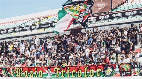 Estrela Amadora Anuncia Cria O De Equipa De Futebol Feminino