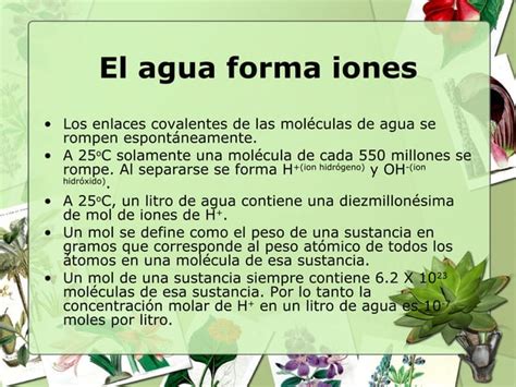 Agua Y Sus Propiedades Ppt