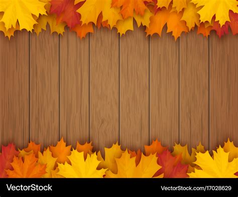 Border from fallen maple leaves Royalty Free Vector Image