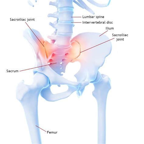 Diagram Diagram Of Si Joint Mydiagram Online