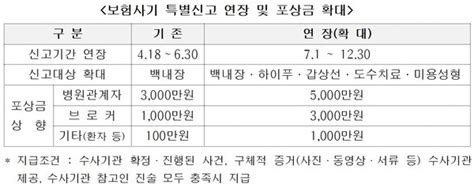 백내장 보험사기 특별신고기간 연말까지 연장