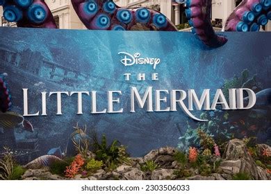 477 Little Mermaid 2023 Images, Stock Photos, and Vectors | Shutterstock