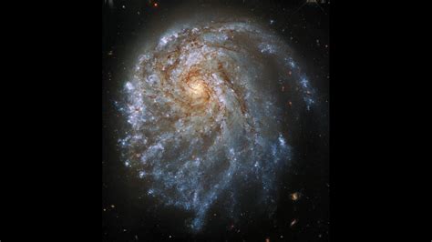 Hubble telescope spies lopsided spiral galaxy deformed by gravity | Space