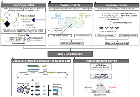 Integrating De Novo And Inherited Variants In 42607 Autism