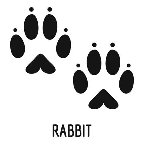 5100 Rabbit Foot Stock Illustrations Royalty Free Vector Graphics