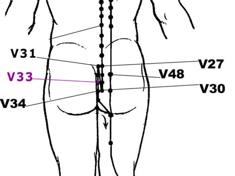 Acupression Pour La Prostate