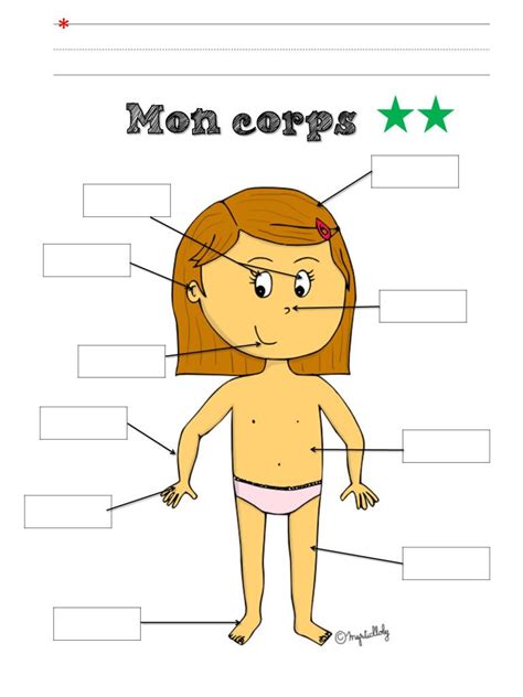 Apprendre Les Parties Du Corps Humain Images And Photos Finder