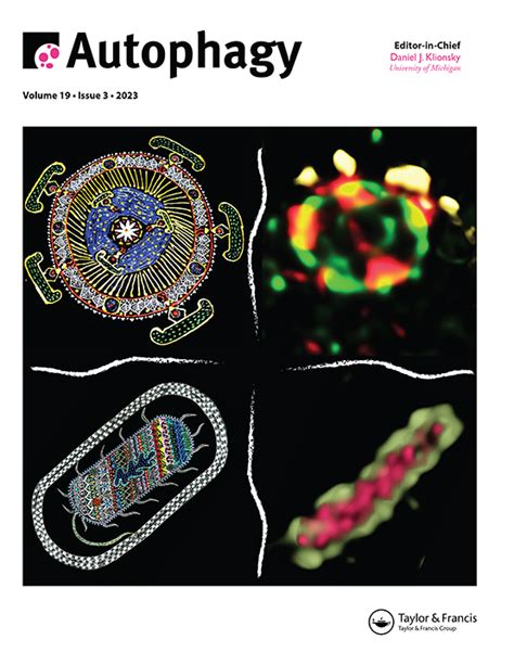 Full Article Transcriptomic Analysis Of Pathways Associated With ITGAV