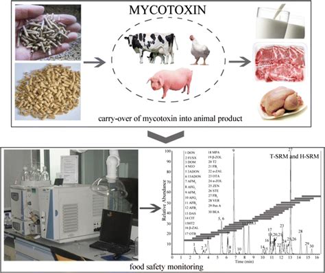 Multi Mycotoxin Analysis Of Animal Feed And Animal Derived Food Using