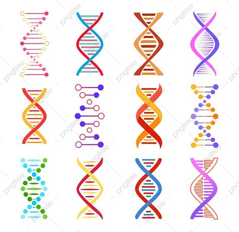 Dna Double Helix Clipart Vector Dna Helix Icons Icon Genetic Graphic