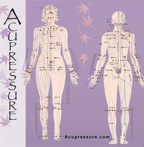 Accupressure Chart Acupressure Points Chart Acupressure Therapy